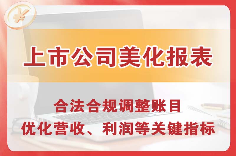 中卫上市公司美化报表
